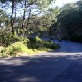 DSC01103